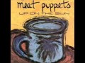 MEAT PUPPETS - Hot Pink 