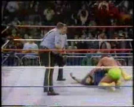 WWF History - Mega Powers & Twin Towers quick review