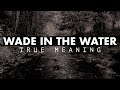 What is the meaning behind "Wade in the Water"?