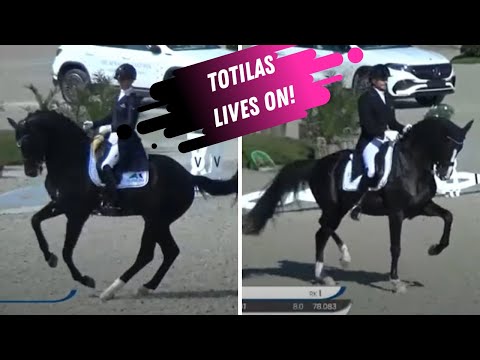 Totilas Progeny Dominate Dressage  - Black Is The New Gold