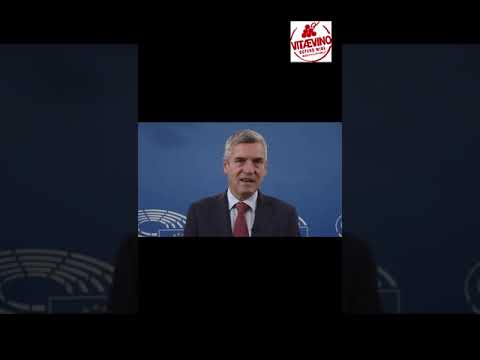 Video of Herbert Dorfmann