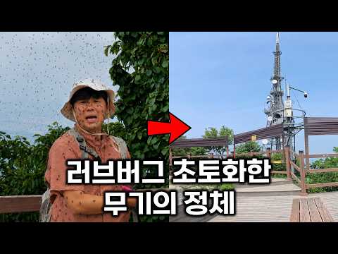 먹으면 안에서 장이 터진다? 러브버그 소굴을 초토화 시킨 무기의 정체
