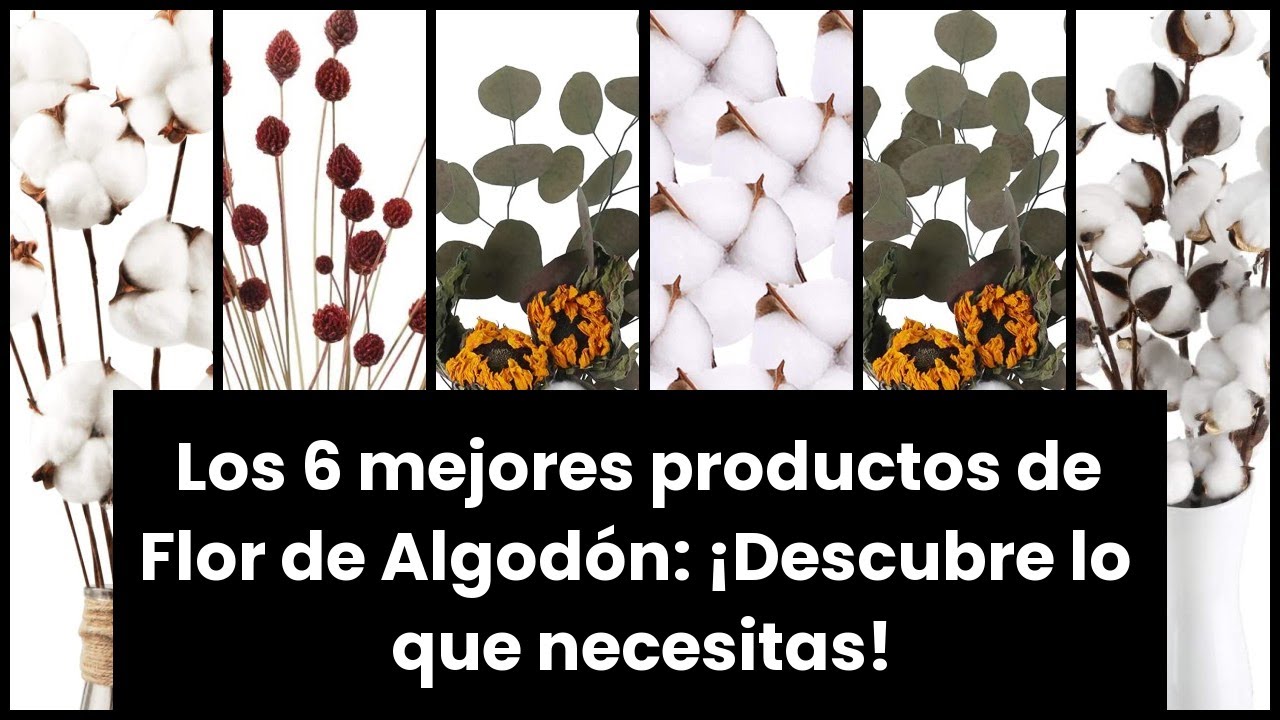 【FLOR DE ALGODON】Los 6 mejores productos de Flor de Algodón: ¡Descubre lo que necesitas! ?