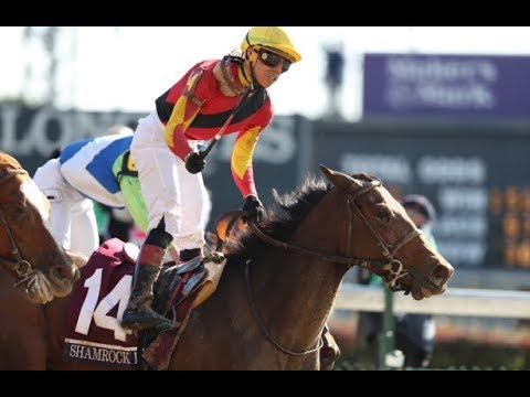 Breeders' Cup Filly & Mare Sprint (G1) 2018 -  Shamrock Rose