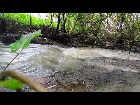 Suara air sungai mengalir gemericik memecah keheningan saat air menyentuh bebatuan dan tepi sungai