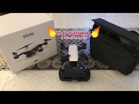 The Near Perfect Drone - DJI Spark Review