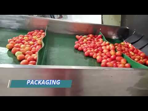 AUTOMATIC TOMATO KETCHUP-SAUCE PROCESSING PLANT 1TON/HR.