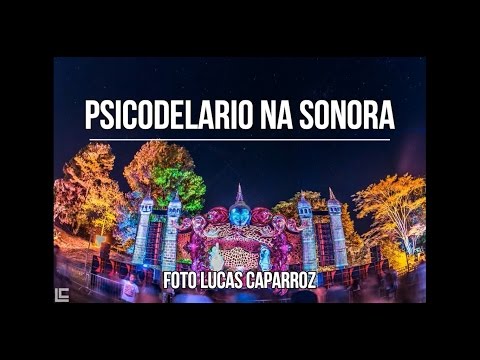 Psicodelario na Sonoora 5 anos