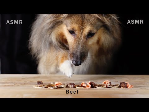 ASMR Dog Eating Sounds Beef Jerky, Sweet Potato and...