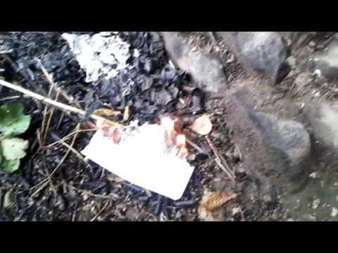 Пробуждение Кулька // The Kylok has awoken...