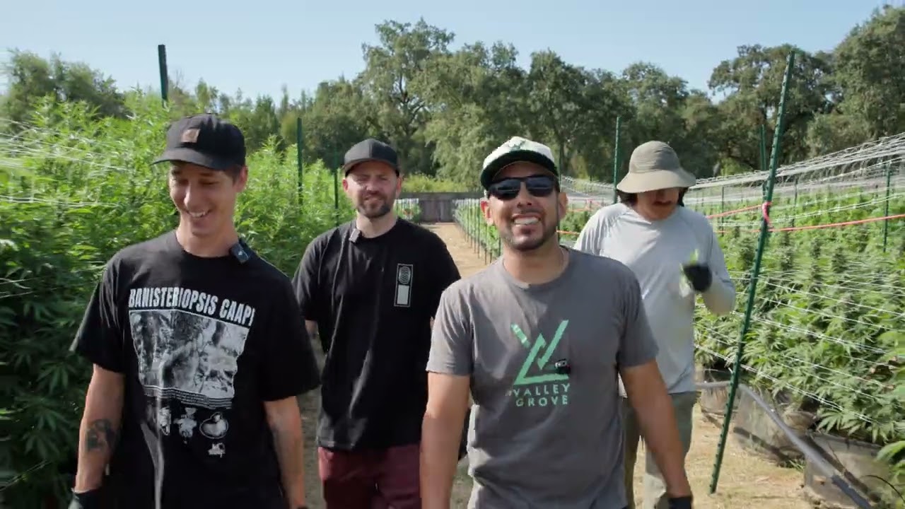 Exclusive Farm Tour: Symbiotic Genetics at Valley Grove (Sonoma County)