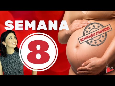 🔺 8 Semanas de Gravidez 🔺
