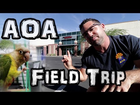 Air Rifle - FACTORY Field Trip - Airguns of Arizona - Designer + Importer + Retailer of Pellet Guns