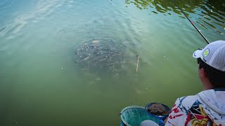 ĐI CÂU QUÊN MANG CHÀI