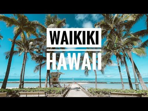 Caminhada matinal tranquila na praia de Waikiki 🏝️ na areia. Filmado na câmera Insta360 🎥