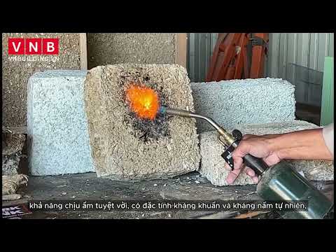 Is Hempcrete “Carbon Negative”? Facts & Applications | VNBUILDING