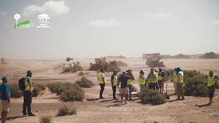 EcoCinema for Impact