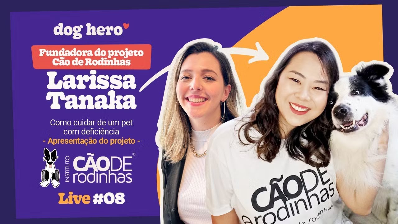 Como cuidar de um pet com deficiência | Apresentação do projeto Cão de Rodinhas | Live #08