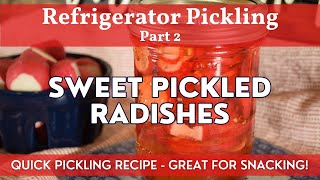 Sweet Pickled Radishes | Refrigerator Pickling Part 2 | Quick Pickling Recipe - Great for Snacking!