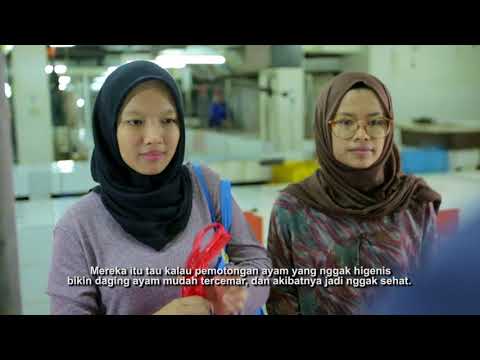 Drama singkat menjual daging unggas yang ASUH