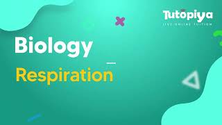 Aerobic respiration.