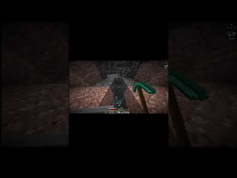 #minecraftsurvivalseries100days