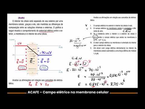 ACAFE 2023 – Membrana celular – Questão de campo elétrico uniforme (CEU) - Pita Física