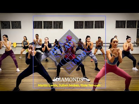 GO SHAPO WR 21.3 #11 - 'DIAMONDS' - Martin Garrix, Julian Jordan, Tinie Tempah