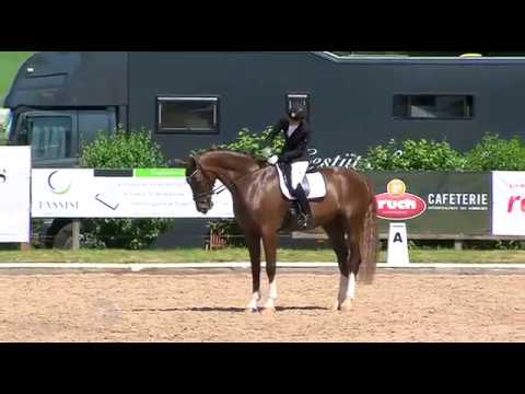 11. Bettenröder Dressurtage Hedda Droege mit Ernesto