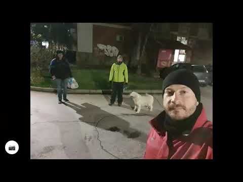 Walking the dogs 🐕 🐕