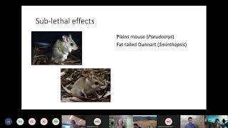 The role of toxoplasmosis in mammal declines in northern and southern Australia