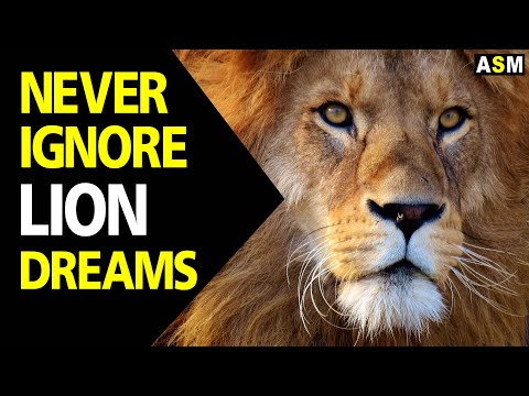 What does Lion dream meaning | Lion Dream interpretation | Dreaming of lion