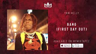 YNW Melly - Gang (First day Out) [Audio]