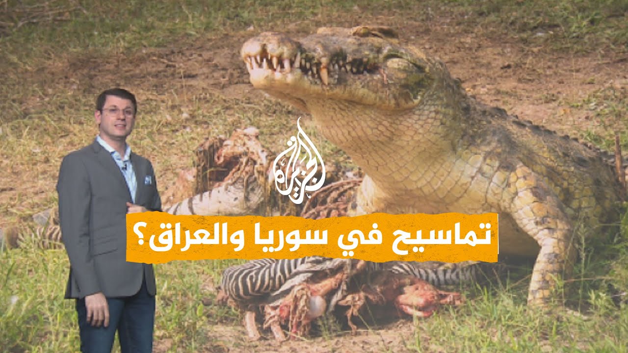 شبكات | هل تعيش التماسيح في سوريا والعراق؟