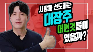 [주식] 주식시장을 주도하는 대장주 총정리