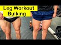 Bulking Chronicles (3) (Leg workout with Kyle Terwin)