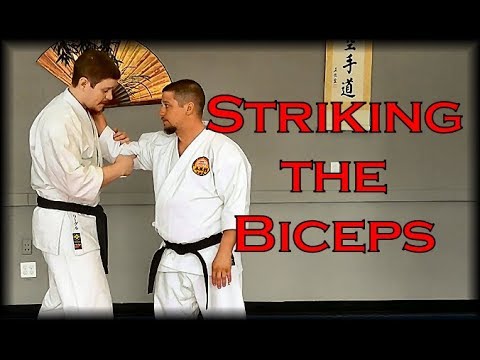Waza Wednesday 2/28/18 - By Request: Striking Biceps