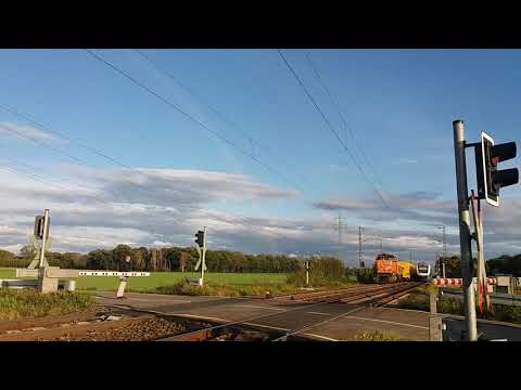 BR 274 G1206 mit Bauzug