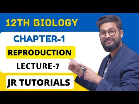 12th Biology | Chapter 1 | Reproduction in Lowers & Higher Plants | Lecture 7 | JR Tutorials |