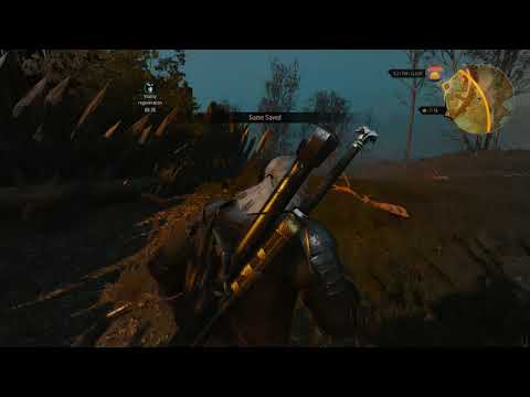 The Witcher 3 - 83 SideQuest A Towerful of Mice 02 Find ghosts