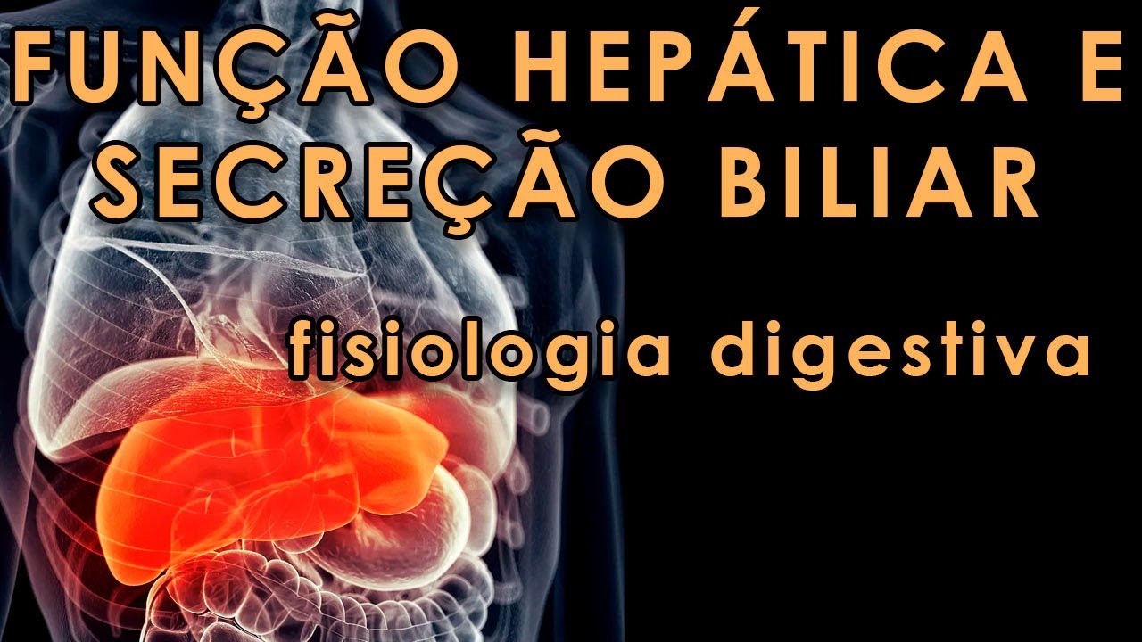 Função hepática e secreção biliar - Fisiologia digestiva