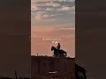 23 Cheema Y Ft Gur Sidhu Album The Simpsons Edit By Brar Vibez ️‍