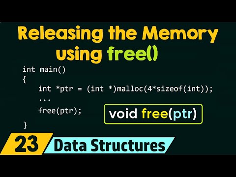 Releasing the Dynamically Allocated Memory using free