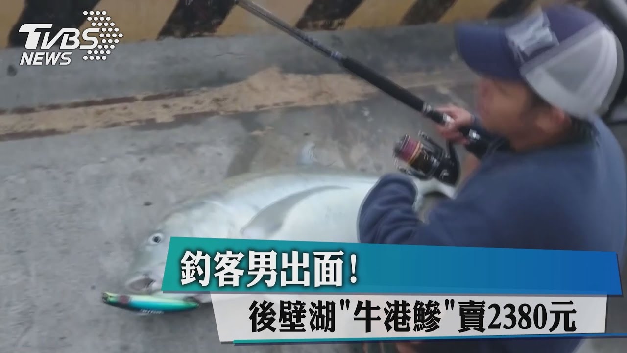 釣客男出面! 後壁湖「牛港鰺」賣2380元