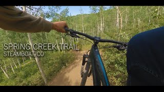 Spring Creek Trail | June 21, 2020