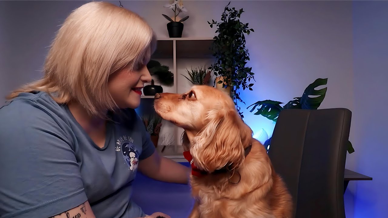 Cute ASMR Brushing My Dog