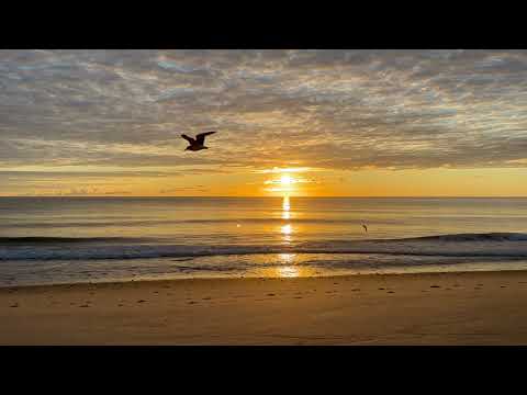 Ocean Waves on Sunny Day at Cape Cod Beach | 4K Real Time Sunrise | Ocean Sounds to Relax and Sleep