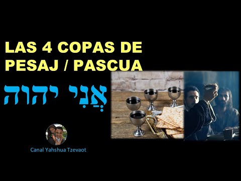 📖🍷🍇Las 4 Copas del Seder de Pesaj | las 4 copas de la fiesta de Pascua | El Pan y el vino de Yeshua