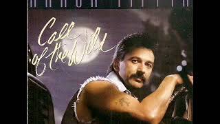 Aaron Tippin ~ Whole Lotta Love On The Line