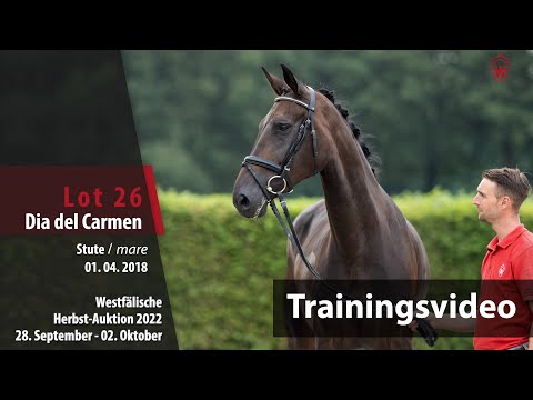 Herbst-Auktion Training Lot 26 Dia del Carmen Stute v. Diamond Hit - Bretton Woods